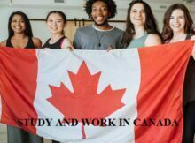Preparatory Guide 2023 for Educational-Work Career in Canada