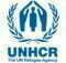 UNHCR Internship Program 2023 [Fully Funded]