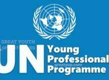 United Nations Career Opportunities 2023 for Young Professionals