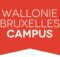 Wallonia-Brussels International Excellence 2023 Grants Programme