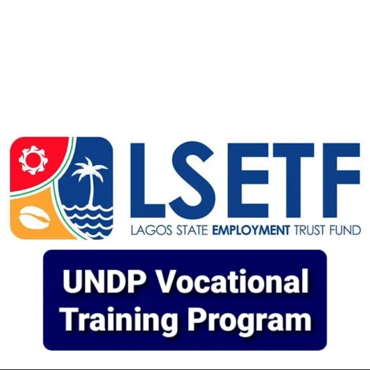 LSETF/UNDP Vocational Training Program 2023-2024 for Young Nigerians