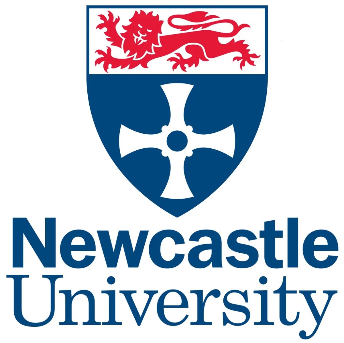 University of Newcastle Africa Excellence Scholarship 2023 For African Students