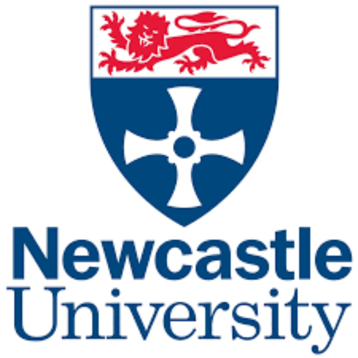 Africa Excellence 2023 Scholarship at University of Newcastle