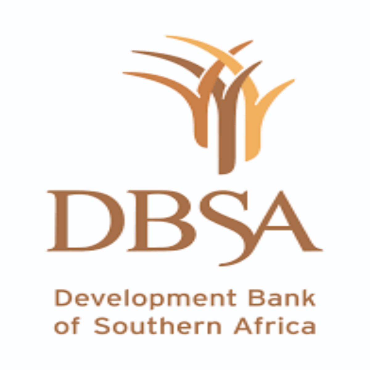 Development Bank of Southern Africa 2023 Learnership Programme