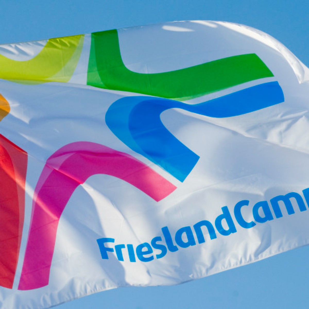 FrieslandCampina 2023 Graduate Professional Scheme