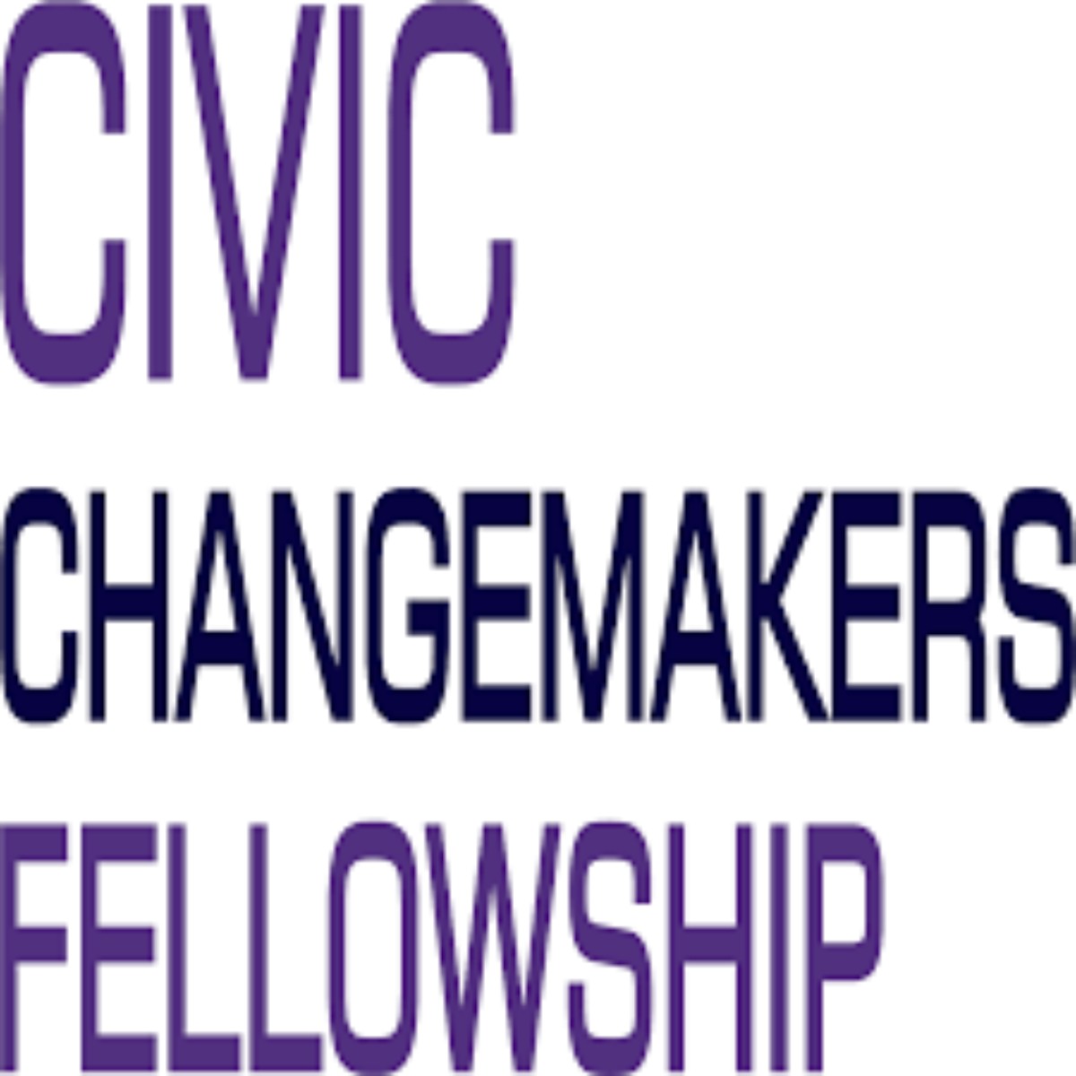 TransparencIT Civic Changemakers 2023 Fellowship Programme