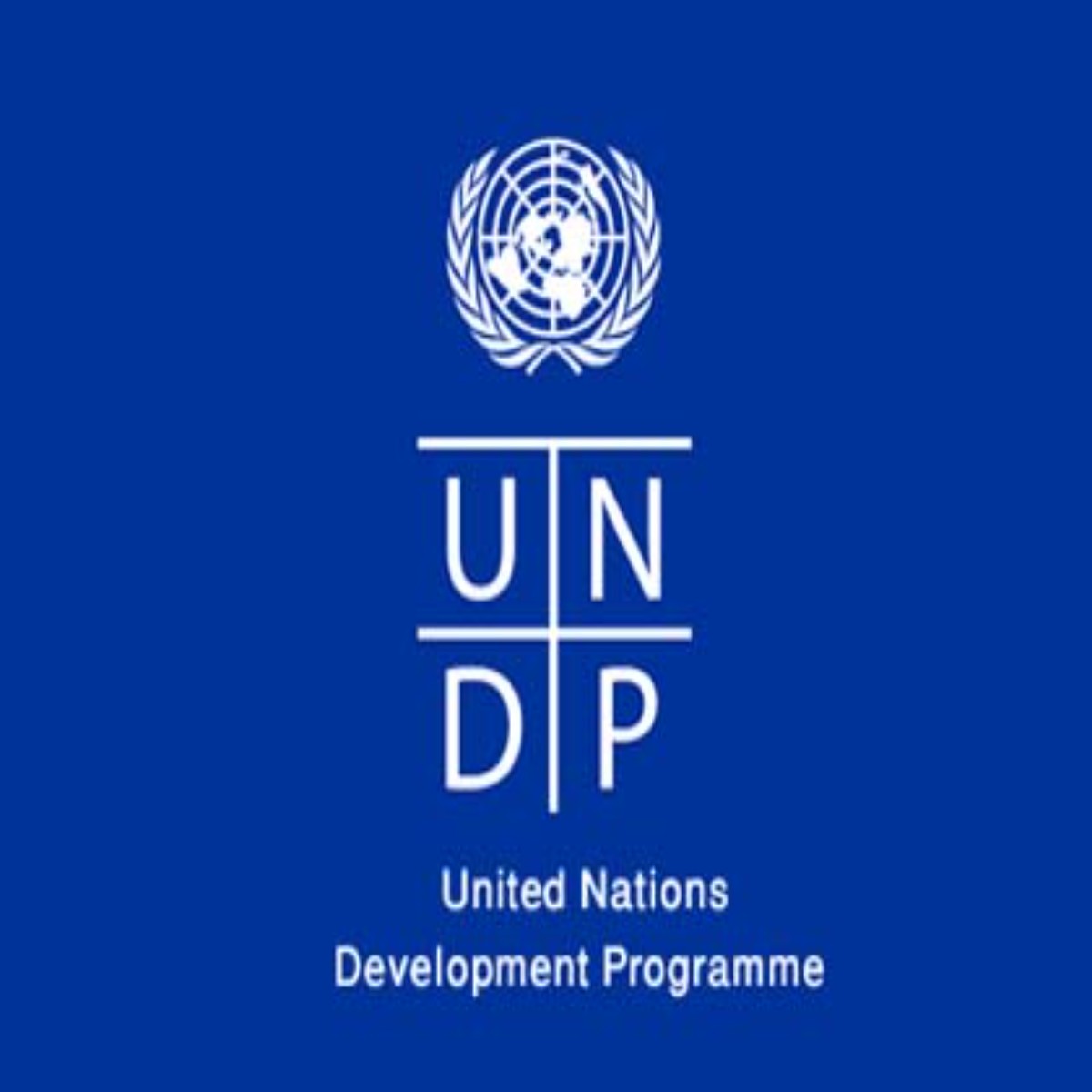 UNDP 2023 Graduate Programme Pool for Recent Graduates (Fully-funded)