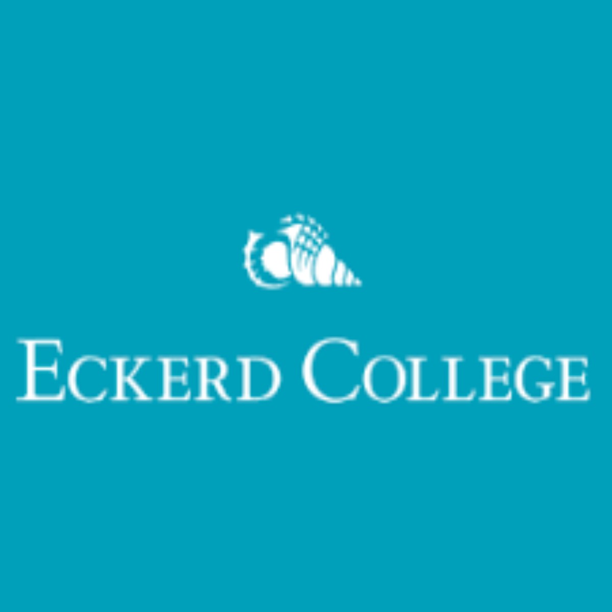 Eckerd College 2023 International Scholarships and Financial Aid