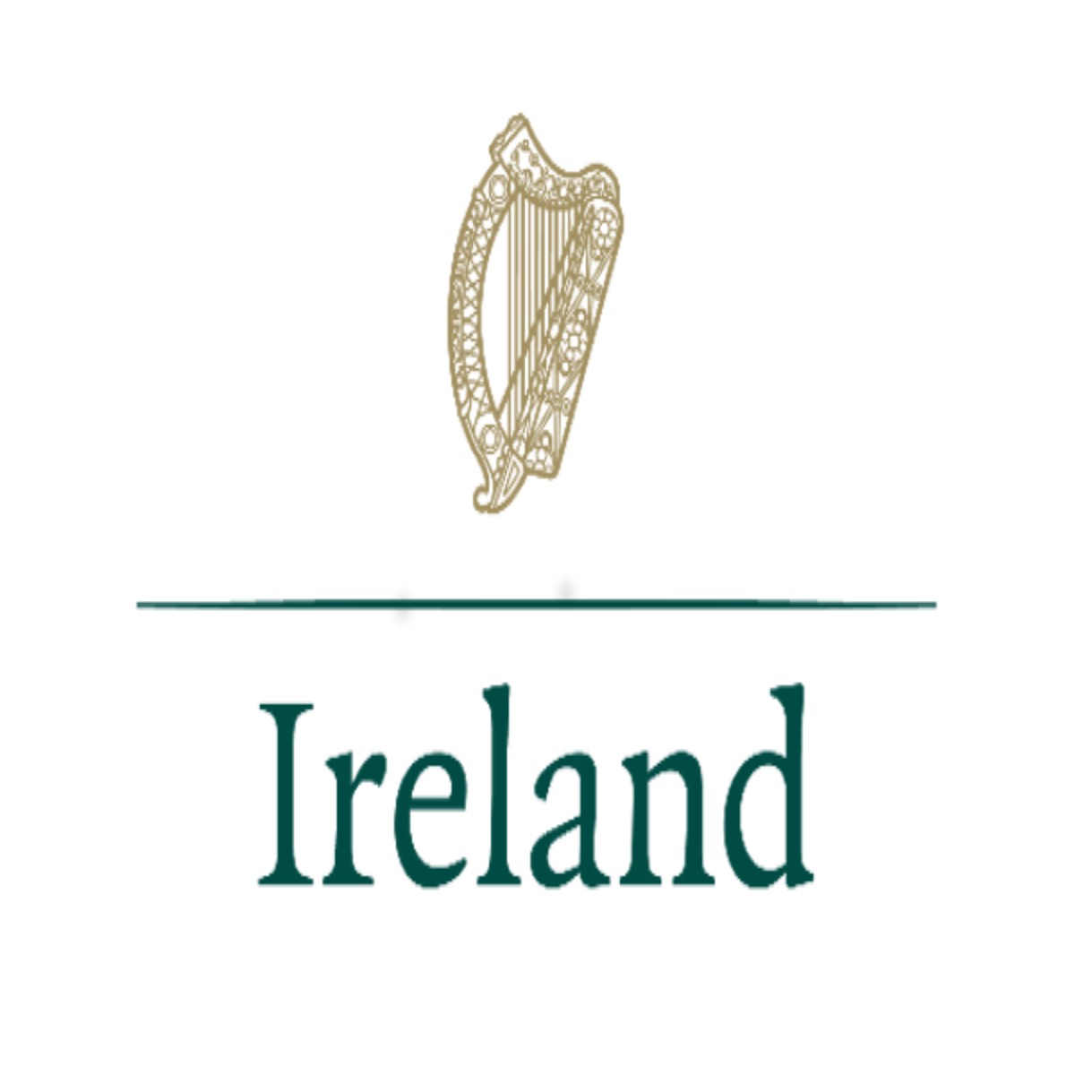 Ireland Fellows Programme 2024 Courtney Fellowship Award