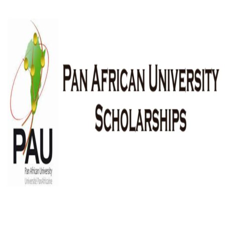 Pan African University 2023 Postgraduate Scholarships