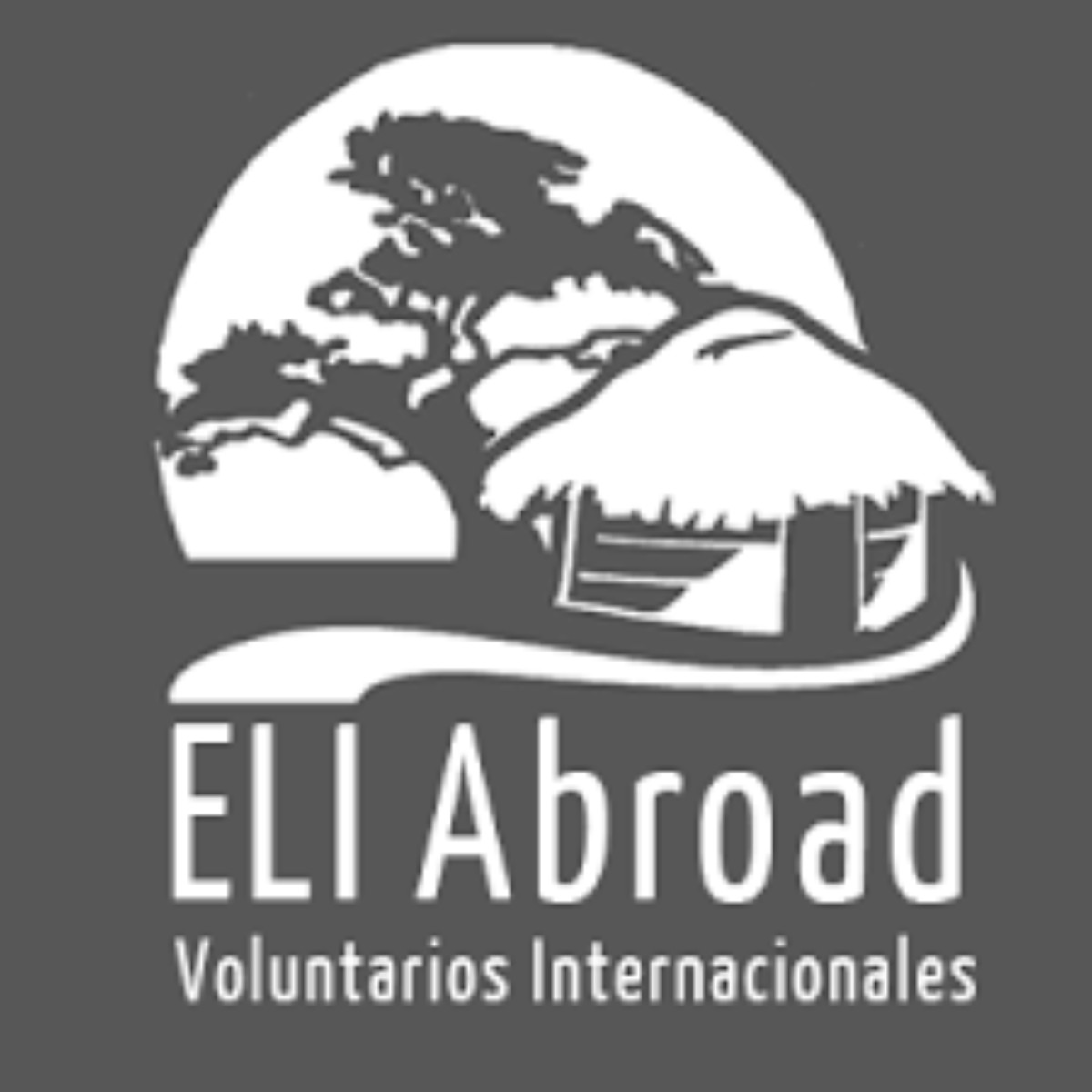 ELI 2023 Abroad Intern and Volunteer Program for Young Graduates
