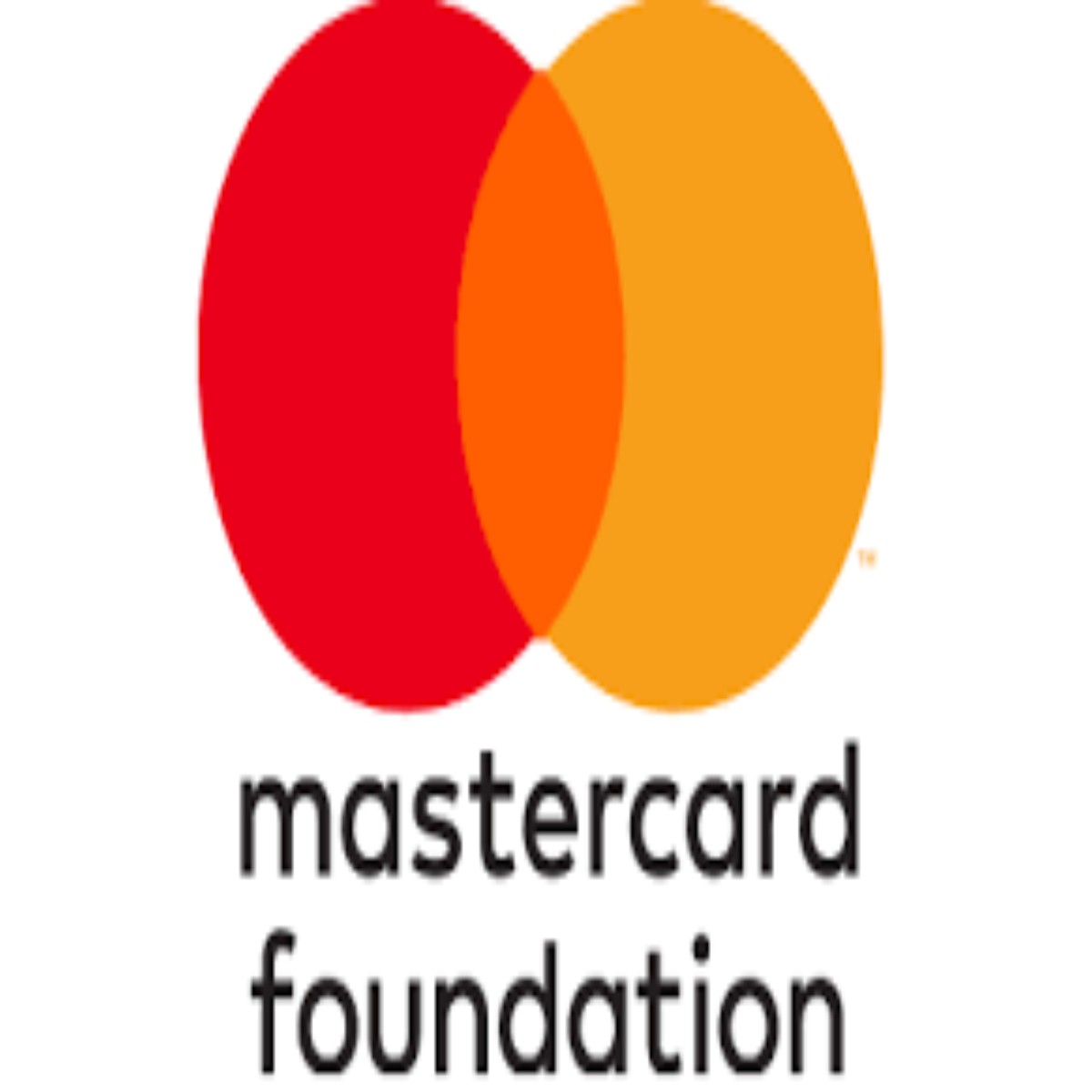 Mastercard Foundation 2024 Scholarships (Application Guide)