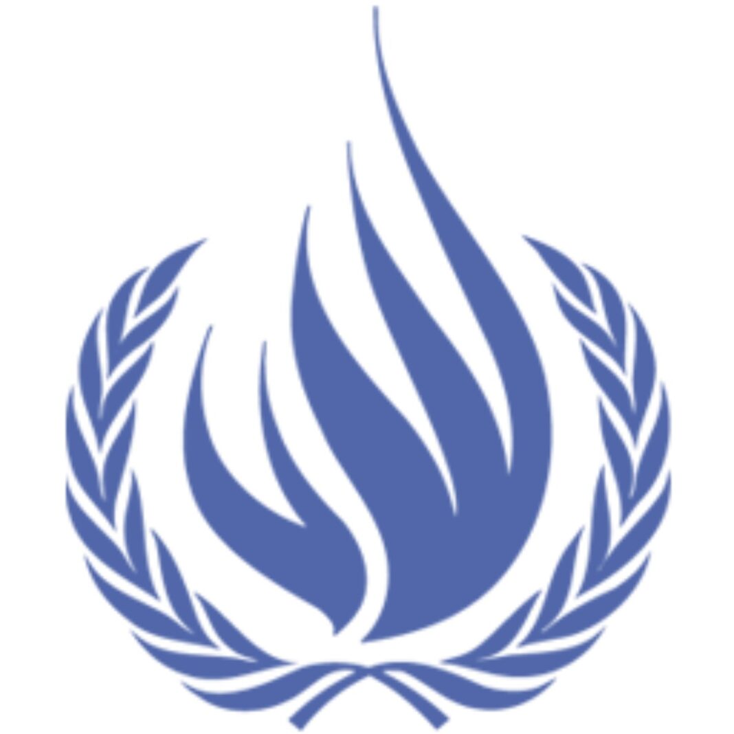 OHCHR Indigenous 2024 Fellowship Programme | Nexlancenow