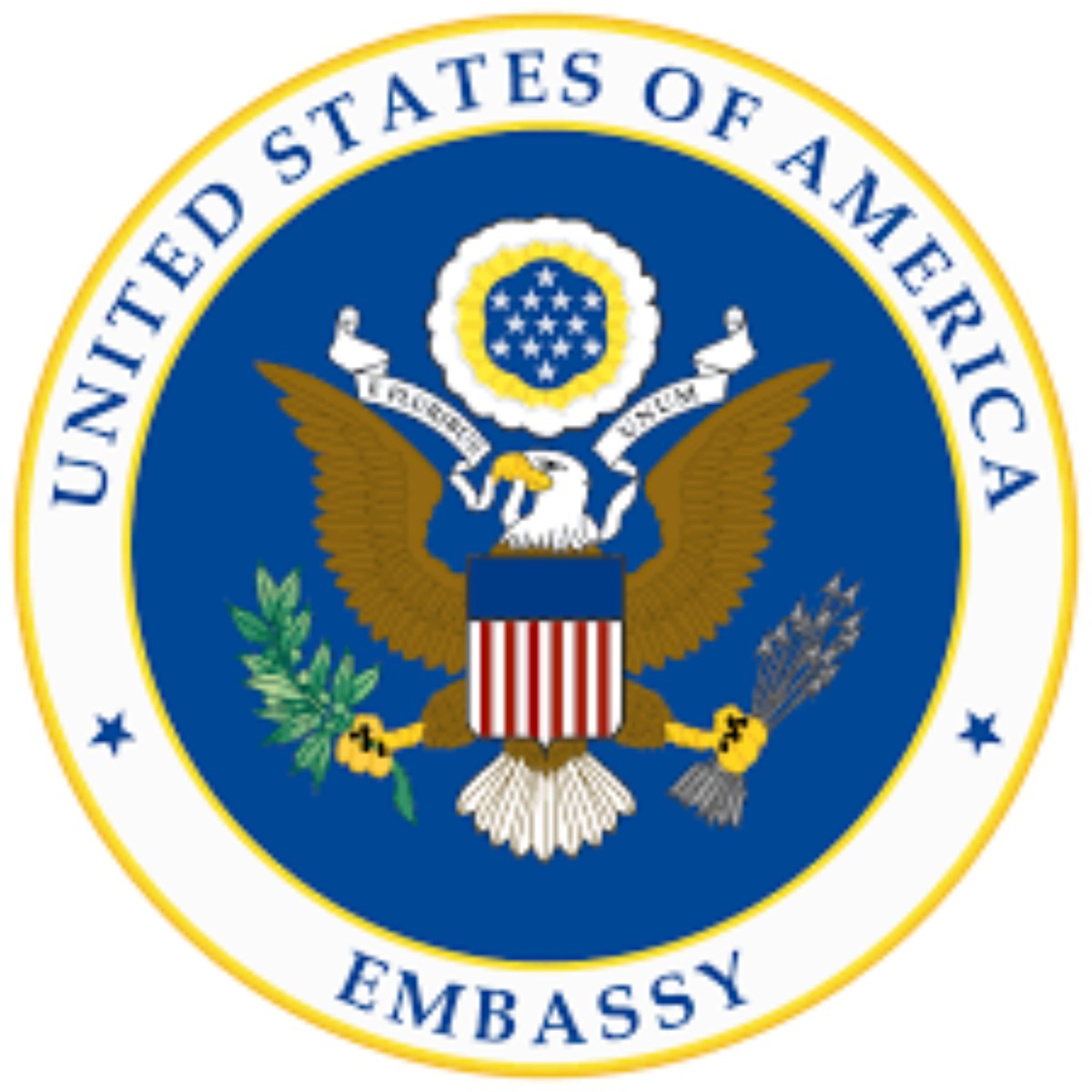 US Embassy 2024 Scholarship for Developing Nations (Application Guide)
