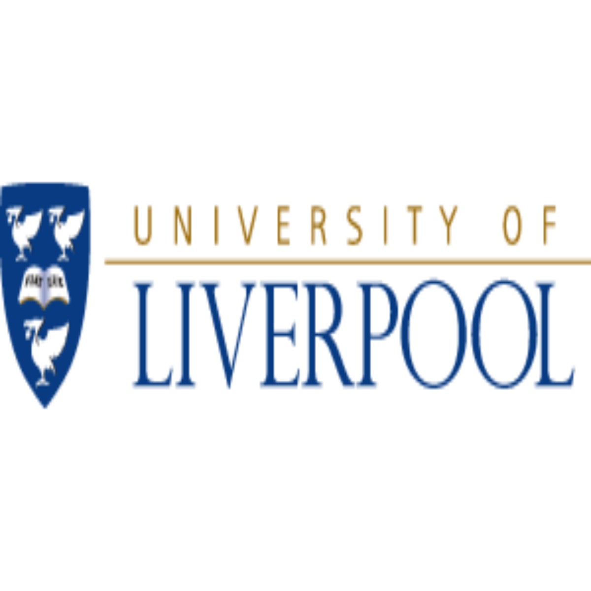 Scholarships and financial support 2023 at University of Liverpool