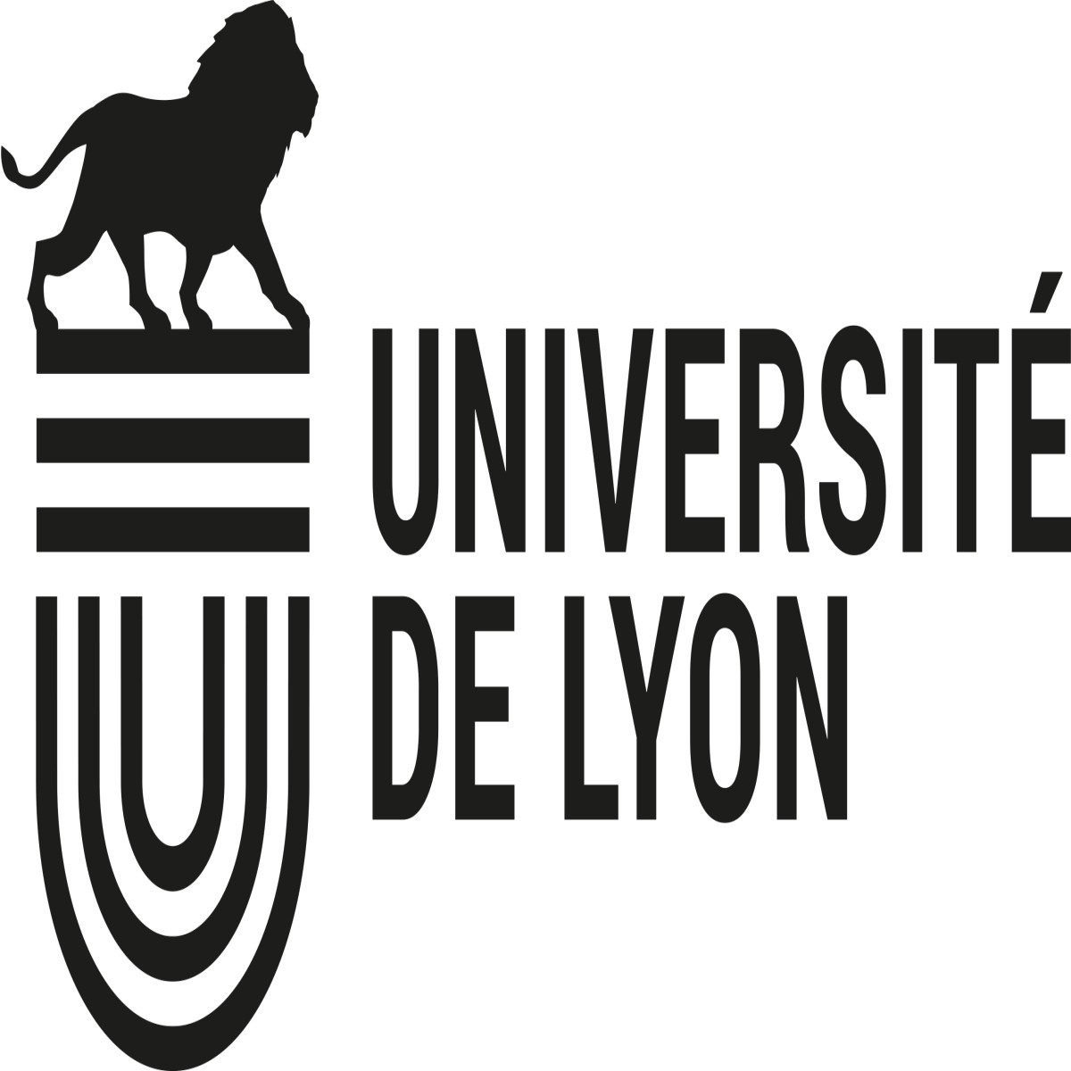 ENS de Lyon 2024 Masters scholarships in France (Prepare to Apply)
