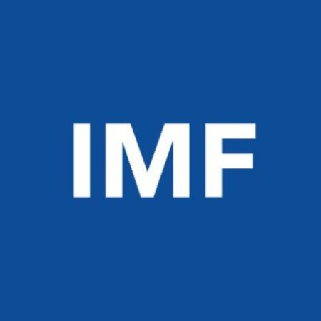 International Monetary Fund (IMF) 2024 Economist Program
