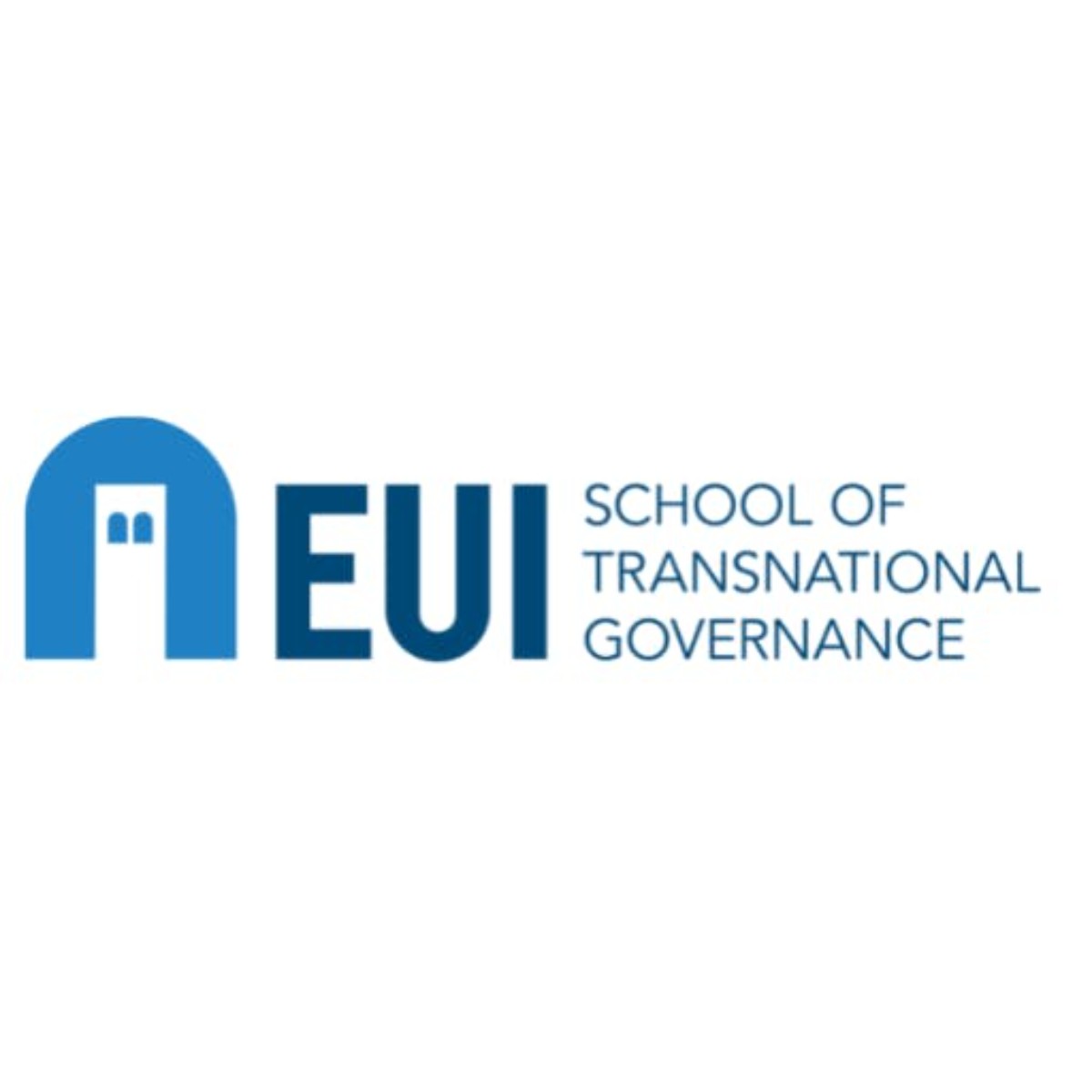 EUI 2024 Policy Leader Fellowship at Florence School of Transnational Governance