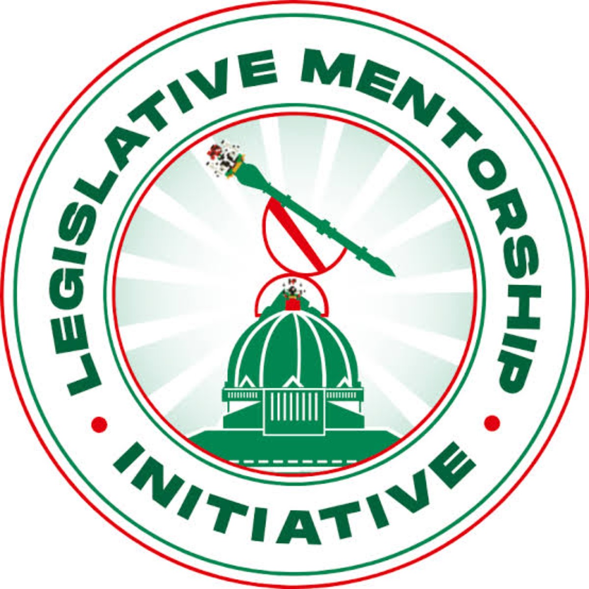Legislative Mentorship Initiative (LMI) 2024 Fellowship For Nigerians