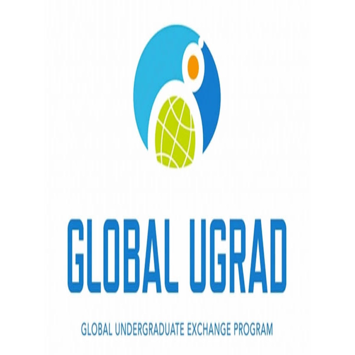 US Embassy Global 2024 Undergraduate Exchange Program for Non-U.S. Citizens
