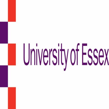 Africa Undergraduate Scholarship 2024 at University of Essex