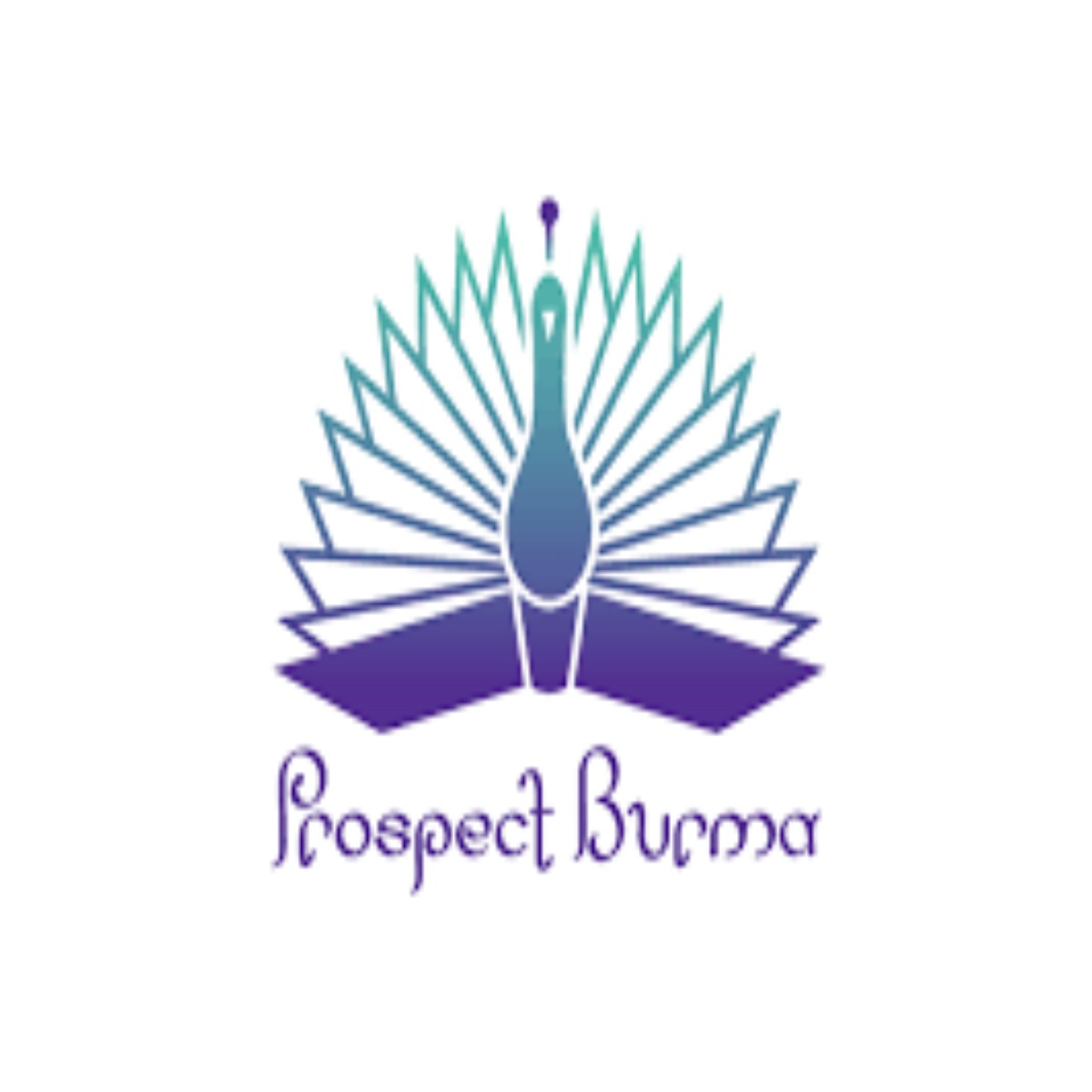 Prospect Burma 2024 Scholarship for International Students