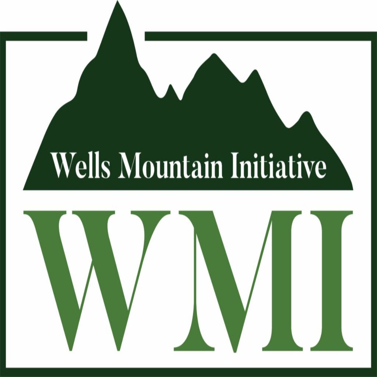 Wells Mountain Initiative (WMI) 2024 Scholars Program for Developing Countries