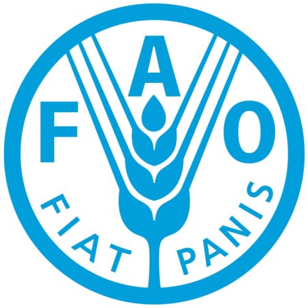 FAO-Hungarian Government 2024 Scholarship
