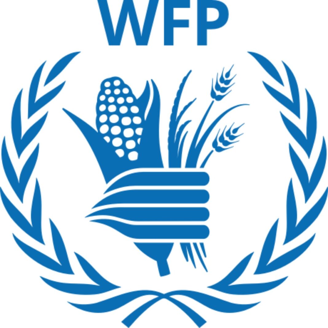 World Food Programme 2024 Internship Application