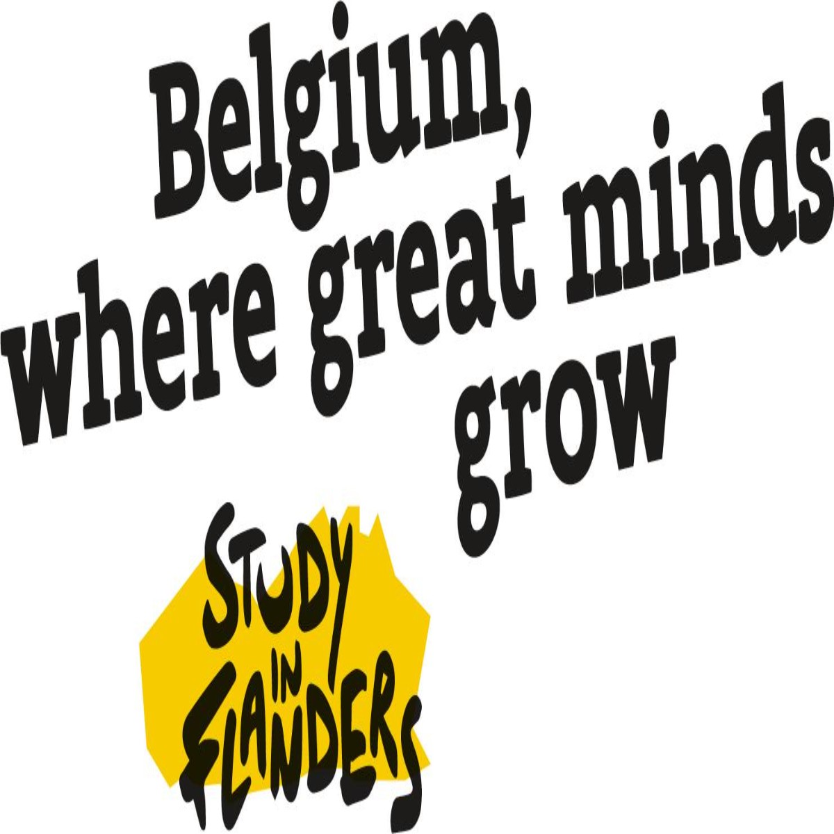 Government of Flanders 2024 Master Mind scholarships