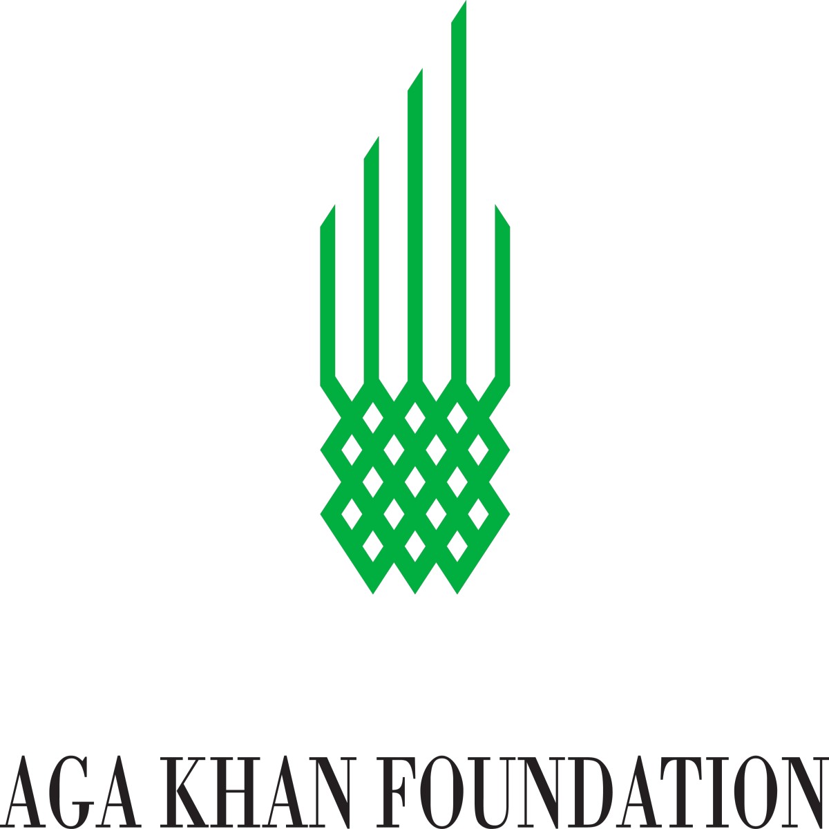 The Aga Khan Foundation 2024 International Scholarship Programme