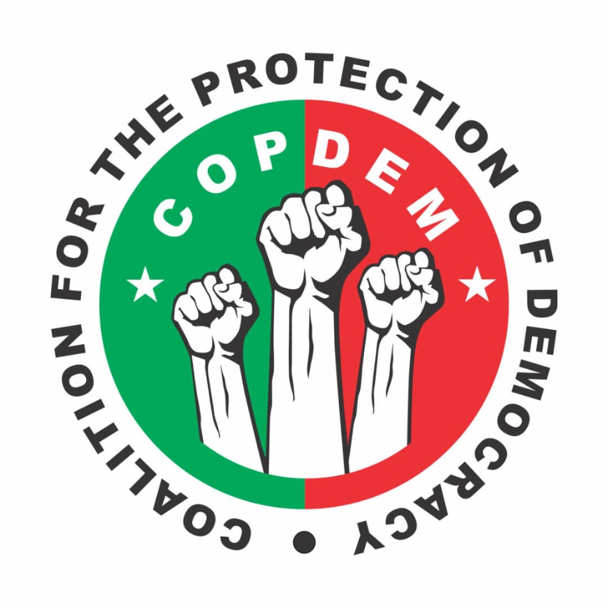 The Coalition for the Protection of Democracy 2024 Scholarships
