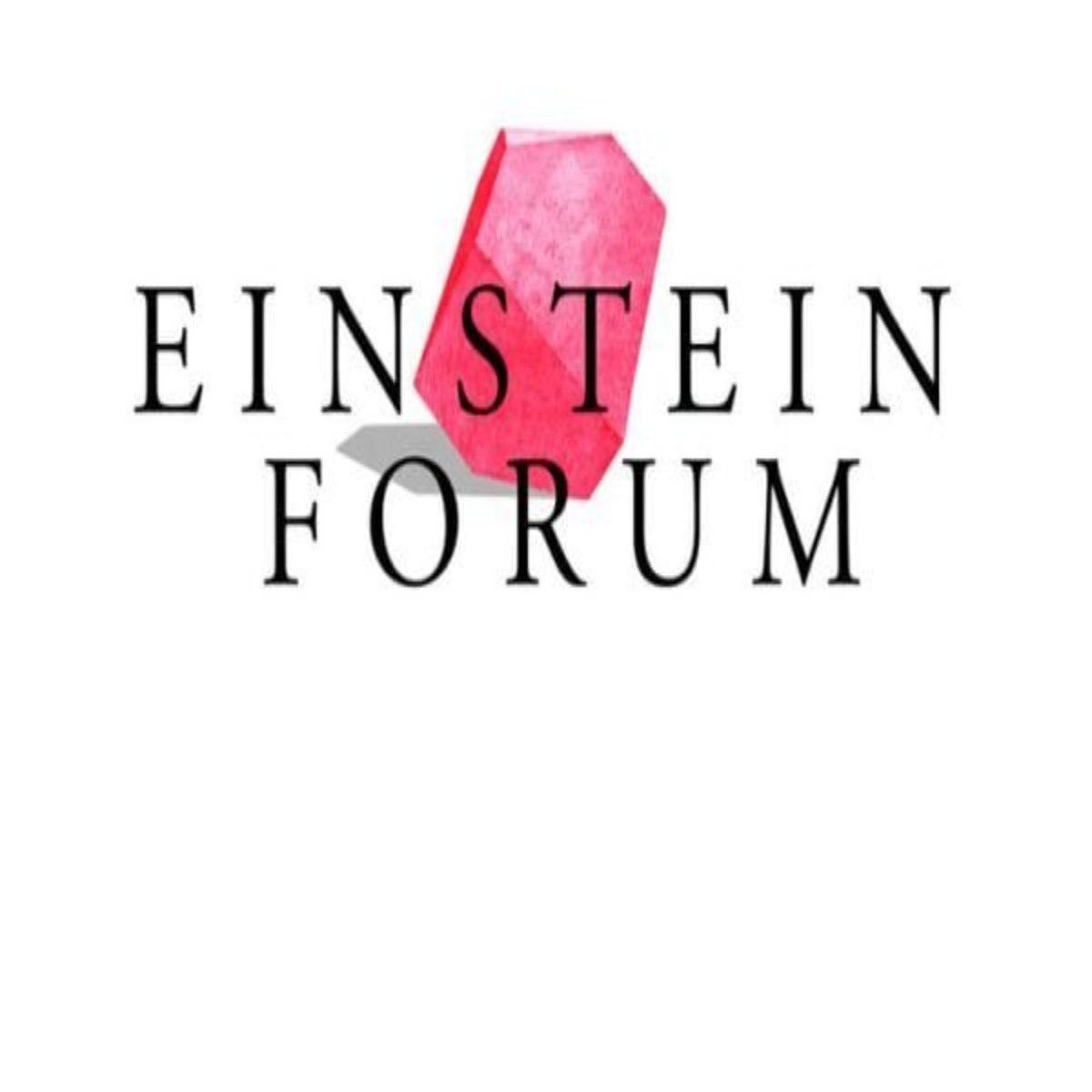 Einstein Forum and Wittenstein Foundation 2024 Fellowship Program
