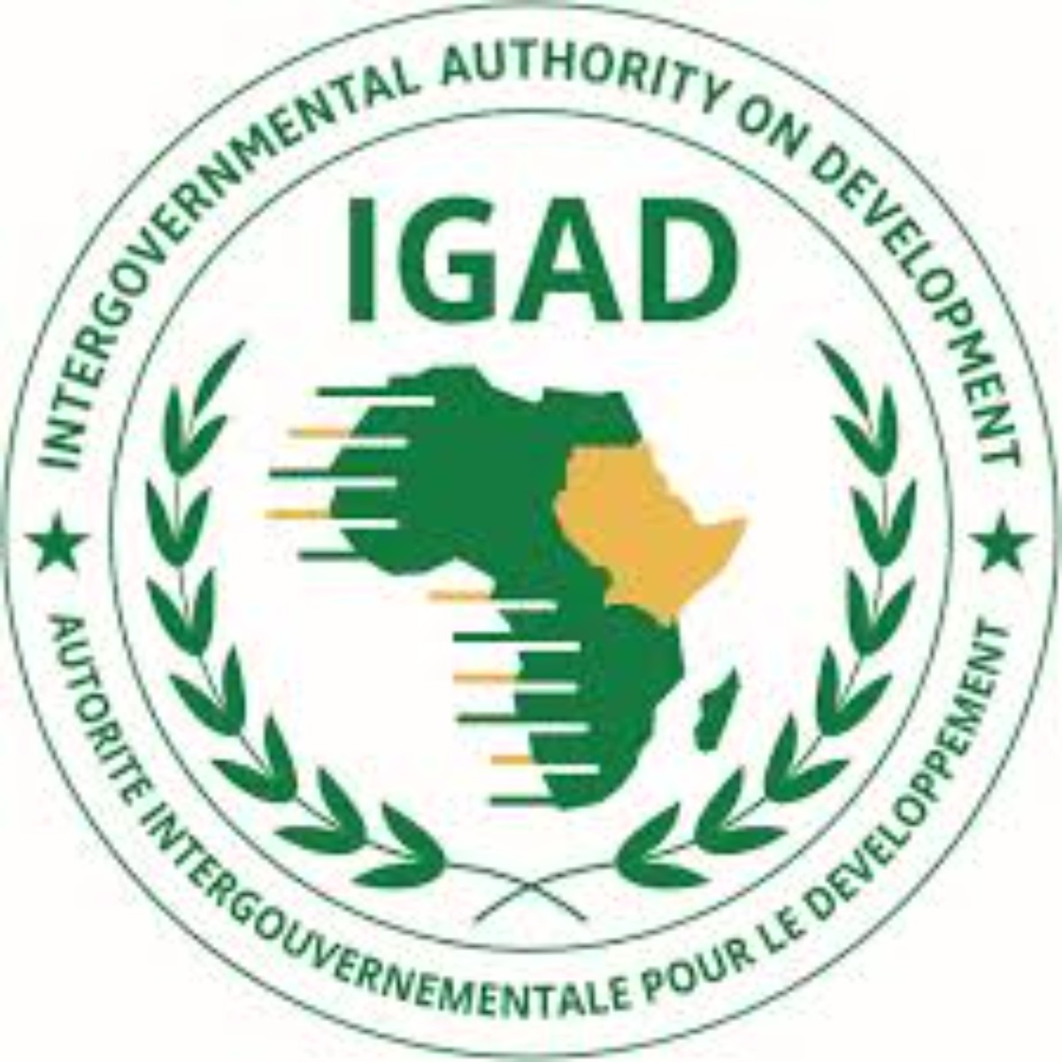 IGAD 2024 Regional Scholarship