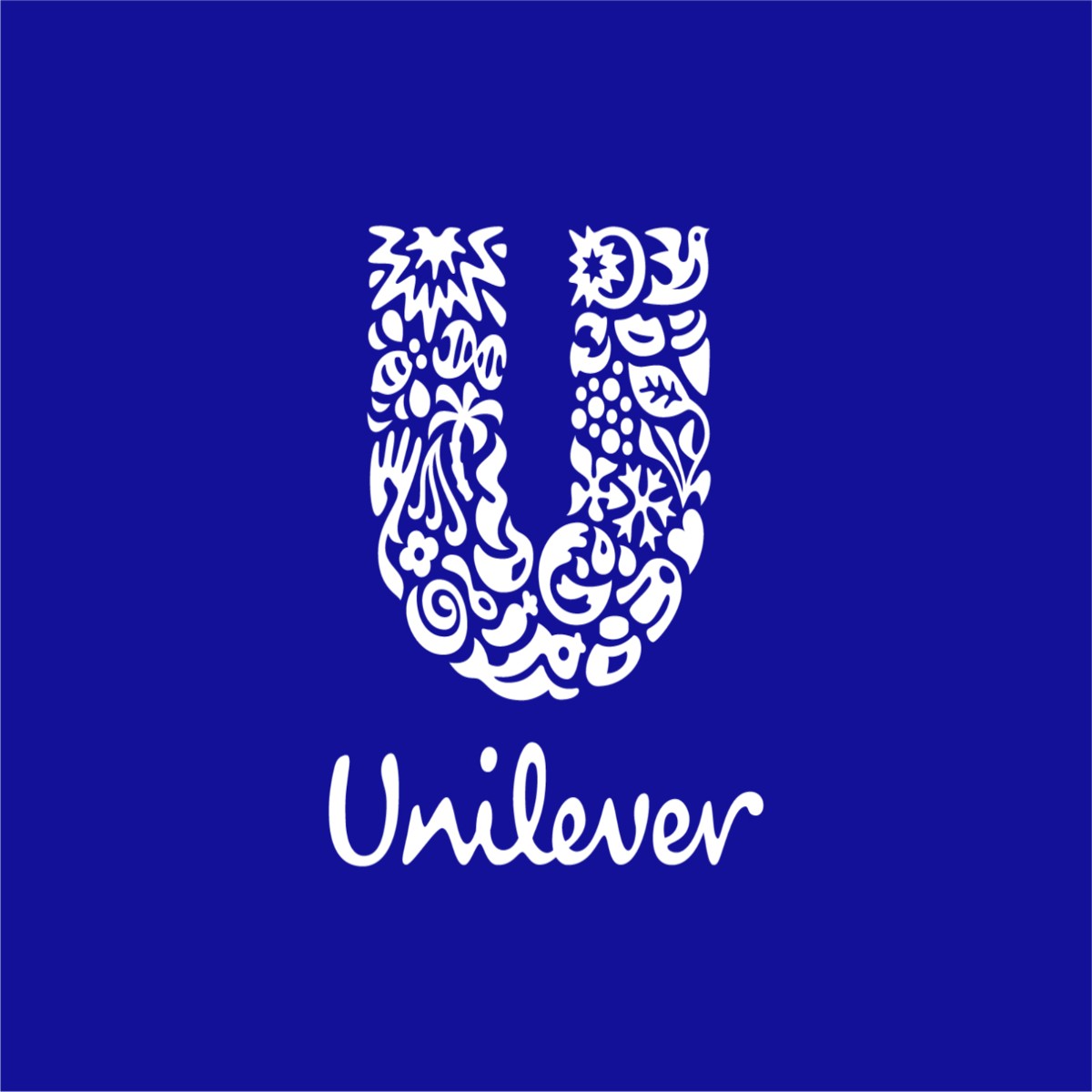 Unilever 2024 Future Leaders Programme Application