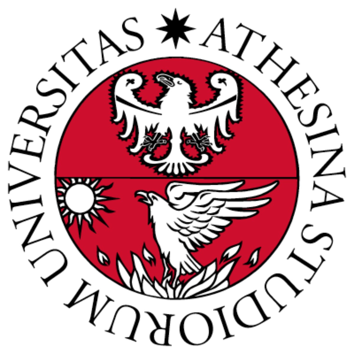 University of Trento 2024 Scholarship for Non-EU students living abroad