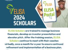 ELISA 2024 Scholars Training Program