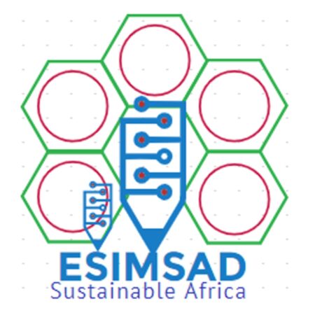 ESIMSAD 2024 Intra-Africa Scholarship