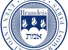 Brandeis University 2024 Wien International Scholarship Program