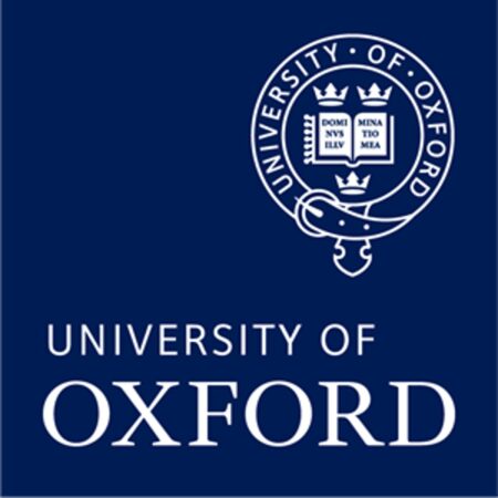 Ellison 2024 Scholarships at Oxford