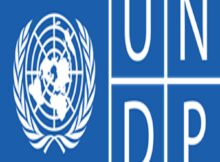 UNDP 2024 Graduate Programme