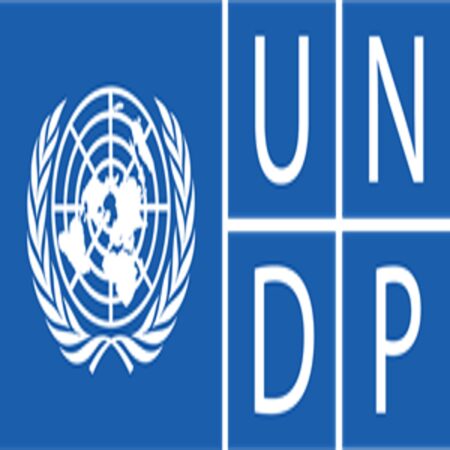 UNDP 2024 Graduate Programme