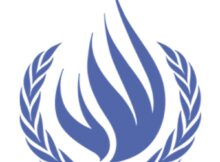 United Nations OHCHR 2025 Indigenous Fellowship Programme
