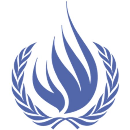 United Nations OHCHR 2025 Indigenous Fellowship Programme