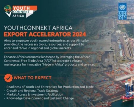 YouthConnekt Africa Export Accelerator 2024 for Youth Owned Enterprises