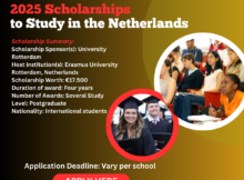 Erasmus Trustfonds 2025 Scholarships to Study in the Netherlands