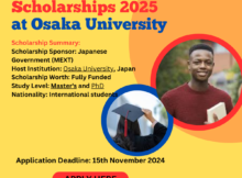 MEXT Engineering Scholarships 2025 at Osaka University