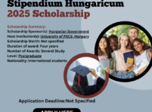 University of Pecs Stipendium Hungaricum 2025 Scholarship