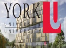 York University Scholarships 2025 for International Students